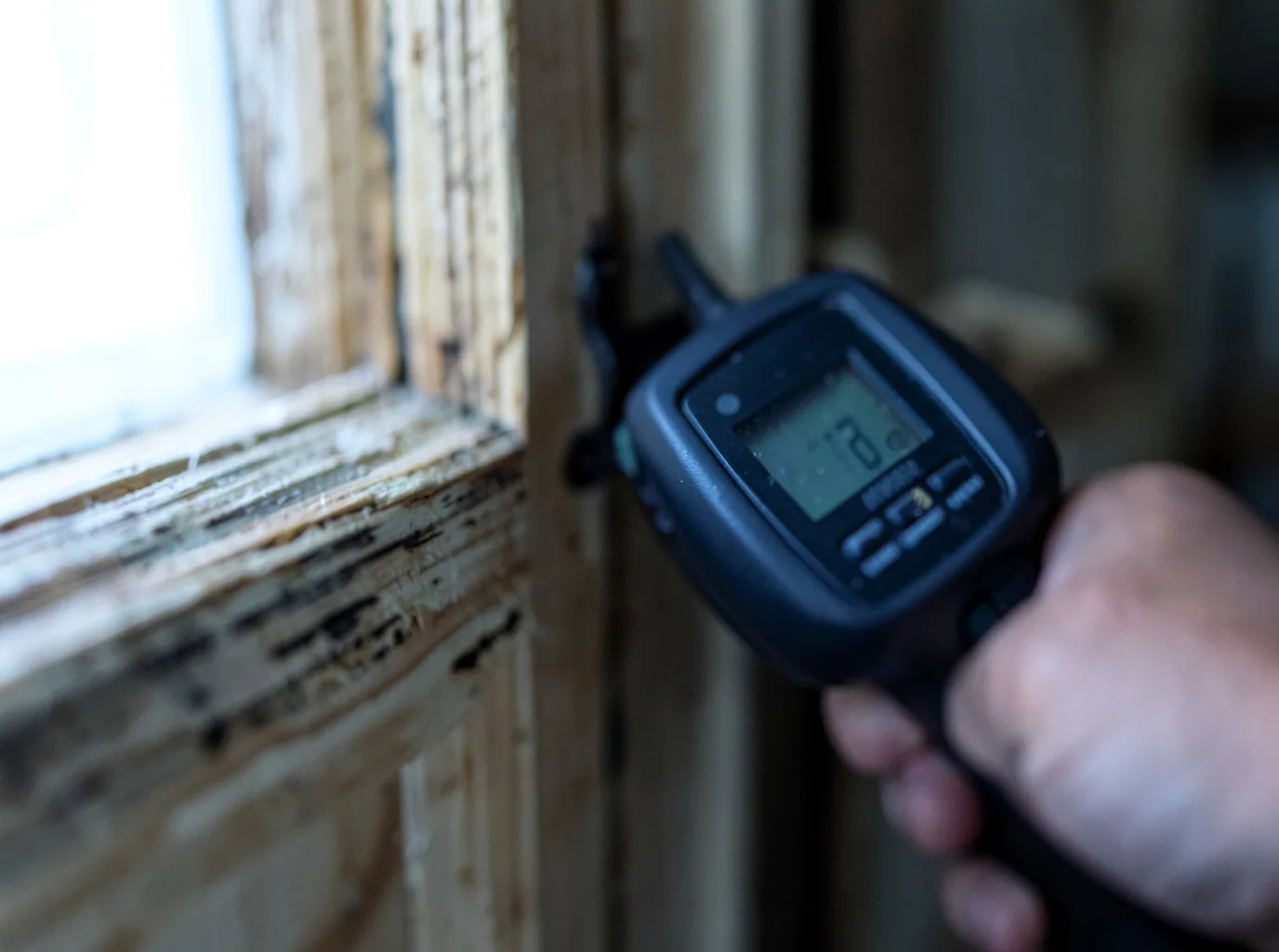 Moisture Inspection And Documentation in Mendocino, CA